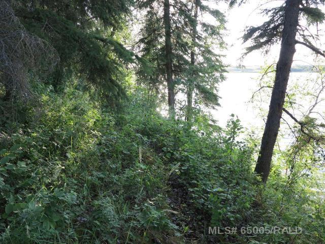 Picture of Lot 12 Blk 1 LAKESIDE Drive , Perch Lake Real Estate Listing