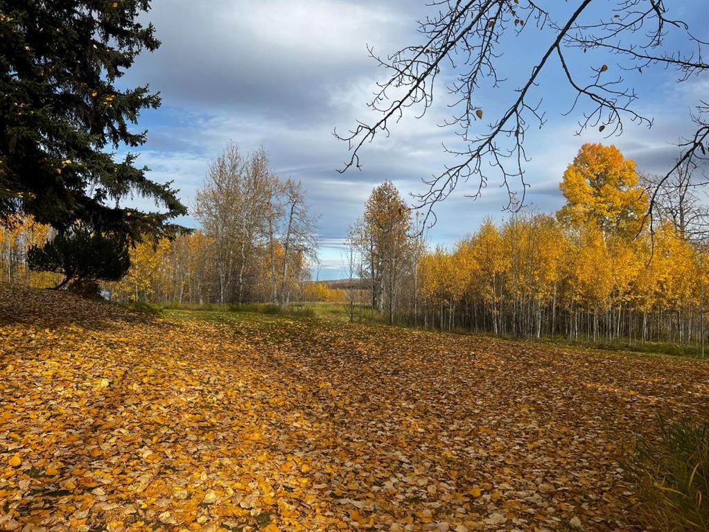 Picture of Lot 2, 120053 Township Road 584  , Rural Woodlands County Real Estate Listing