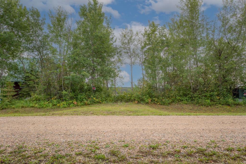 Picture of 21 Rose Meadow Drive  , Loon Lake Real Estate Listing