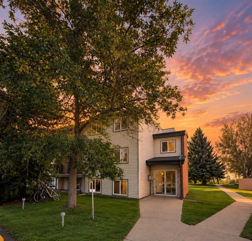 Picture of 204B, 295 Columbia Boulevard W, Lethbridge Real Estate Listing