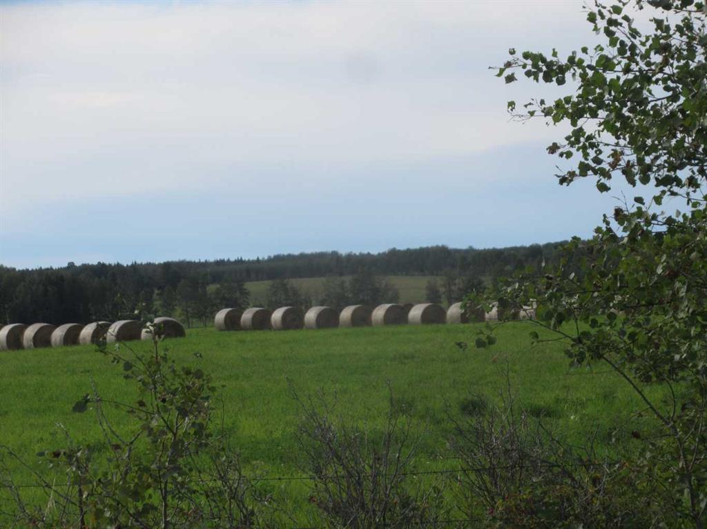 Picture of 414012 Range Road 6-2  , Rural Clearwater County Real Estate Listing