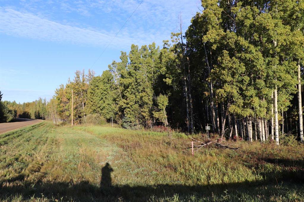 Picture of NW-17-56-14  , Rural Yellowhead County Real Estate Listing