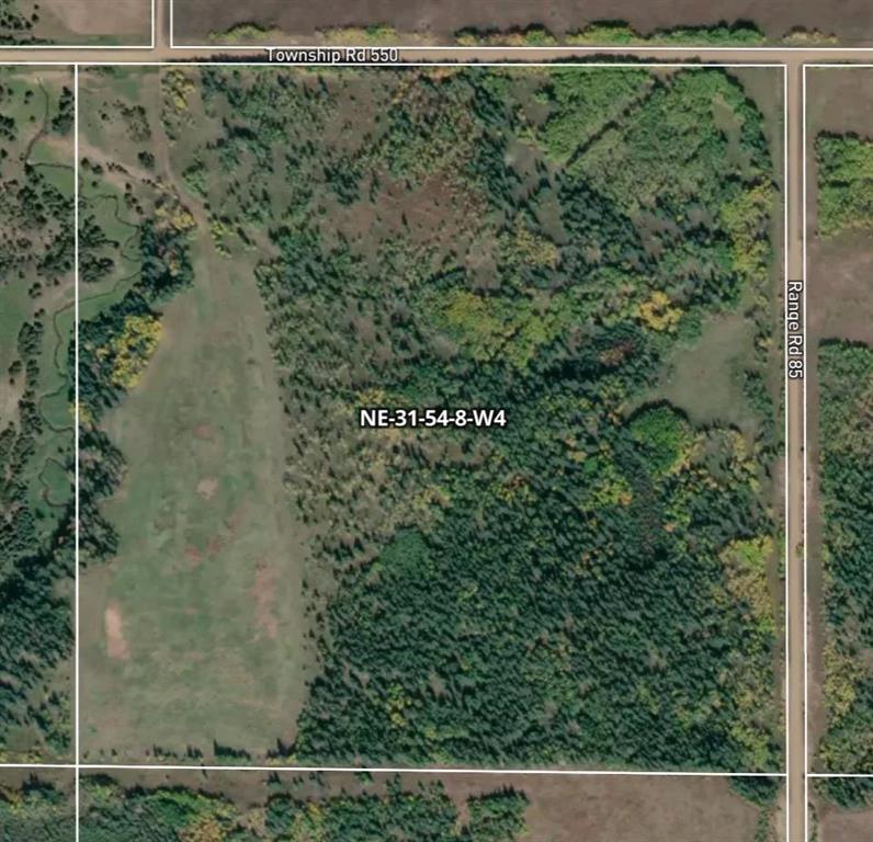 Picture of 4;8;54;31;NE -  , Myrnam Real Estate Listing