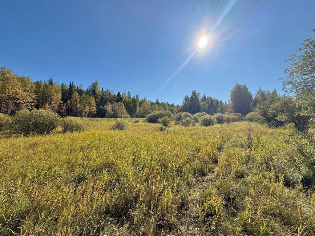 Picture of 18509 TWP Rd 521A  , Rural Yellowhead County Real Estate Listing