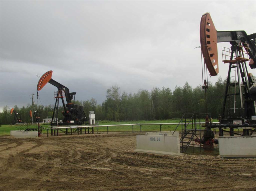 Picture of Highway 616  , Rural Brazeau County Real Estate Listing