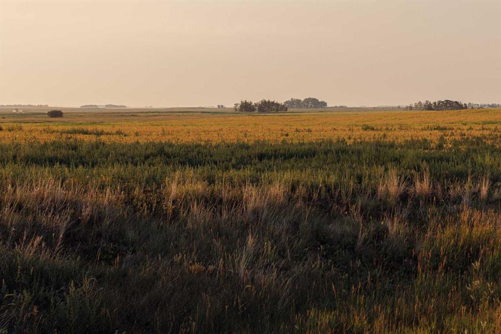 Picture of Parcel 6 Range Road 271 just south of Highway 9.  , Rural Rocky View County Real Estate Listing