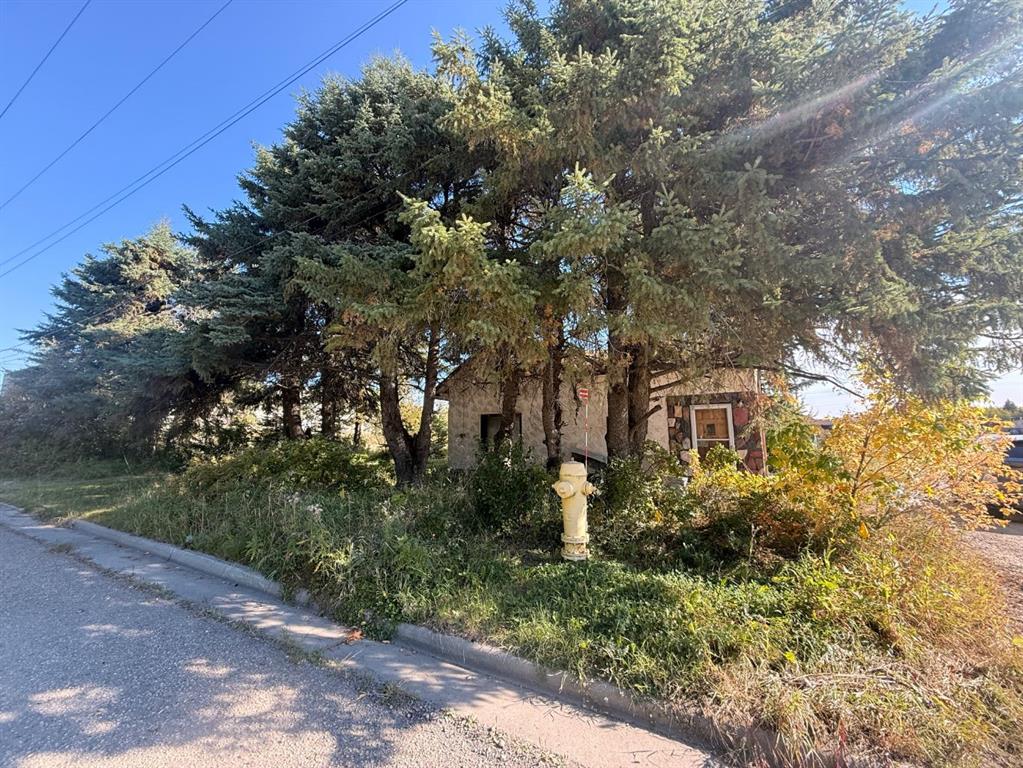 Picture of 4601 52 Street , Entwistle Real Estate Listing