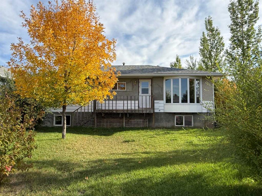 Picture of 117 5 Street N, Champion Real Estate Listing