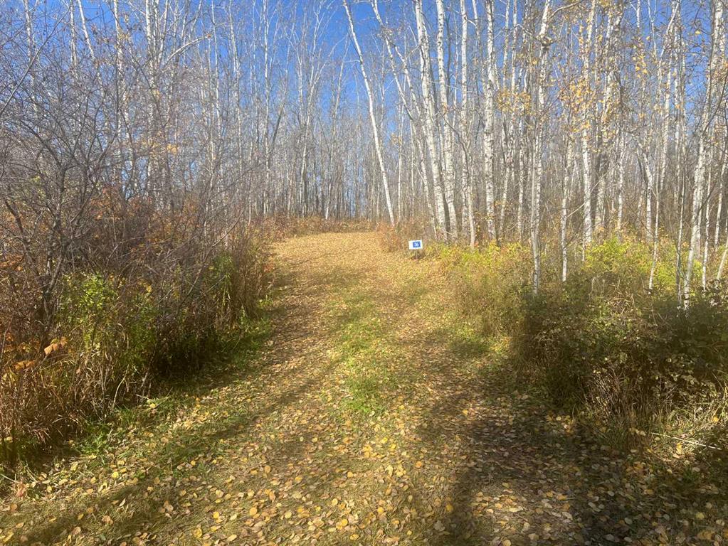 Picture of 36, 50408 Range Road 203  , Rural Beaver County Real Estate Listing