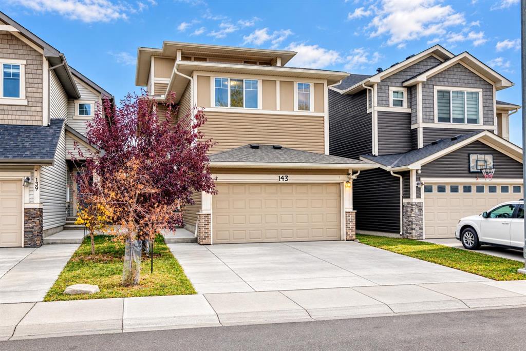 Picture of 143 Saddlestone Park NE, Calgary Real Estate Listing