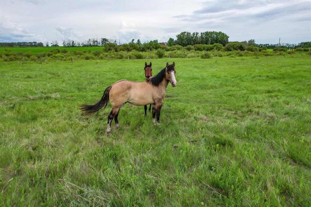 Picture of Range Road 261  , Rural Lacombe County Real Estate Listing