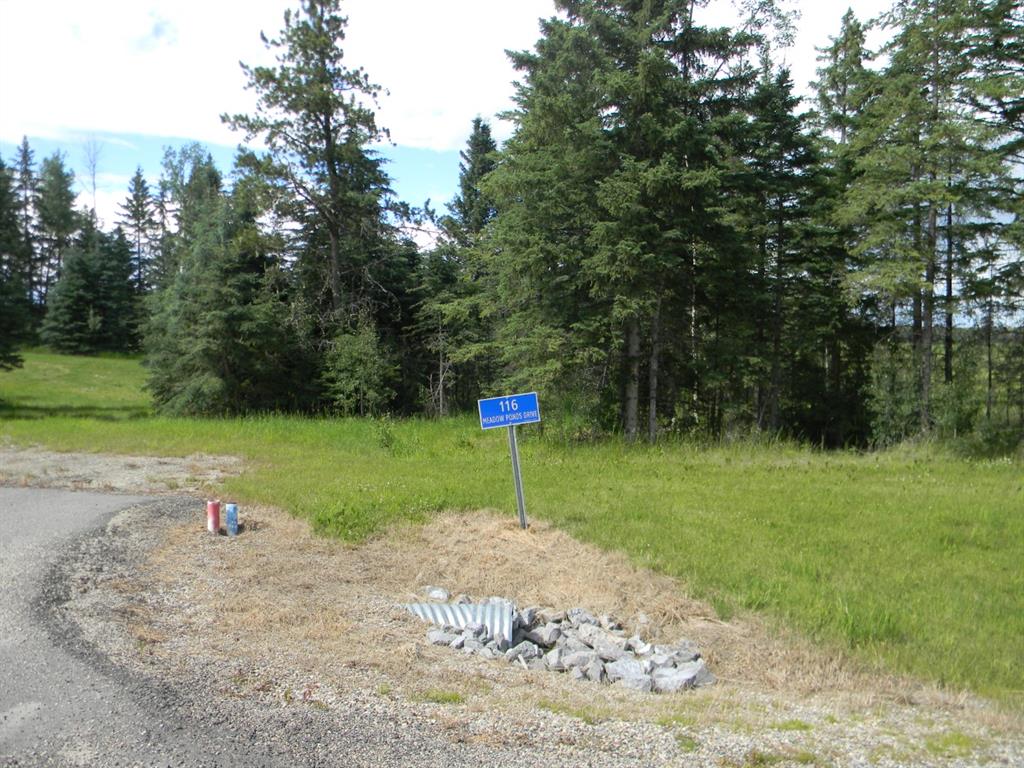 Picture of 116 Meadow Ponds Drive , Rural Clearwater County Real Estate Listing