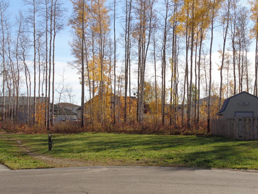 Picture of 5 Birch Close , High Level Real Estate Listing