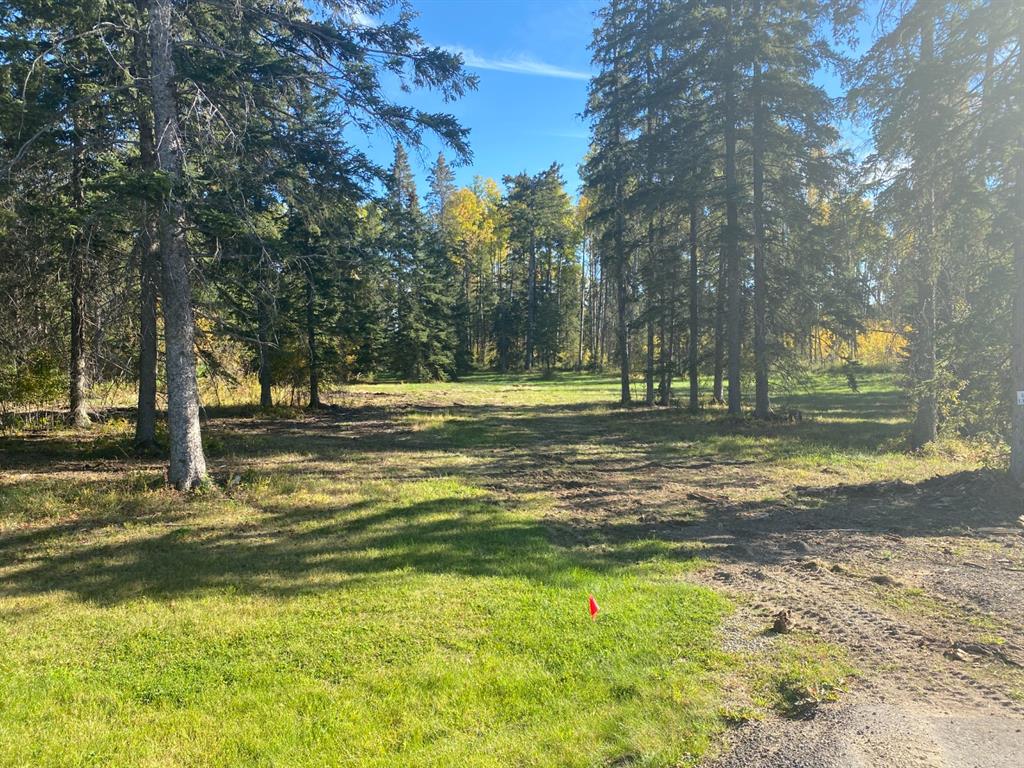 Picture of 202 High Timber Place , Rural Clearwater County Real Estate Listing