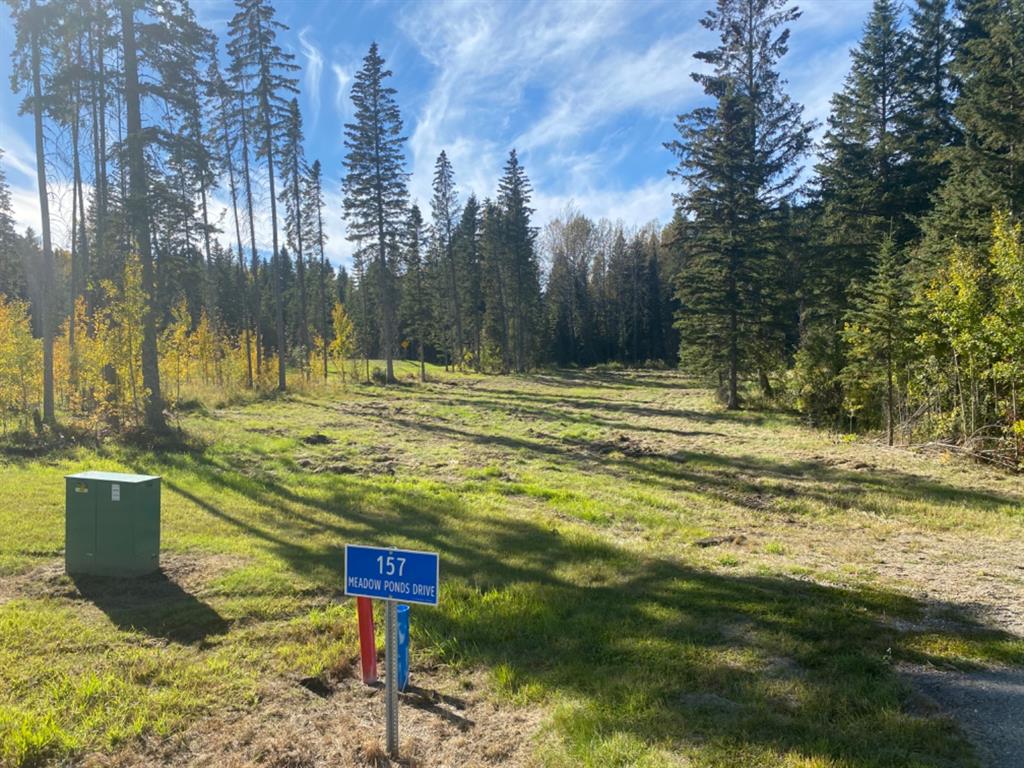 Picture of 157 Meadow Ponds Drive , Rural Clearwater County Real Estate Listing