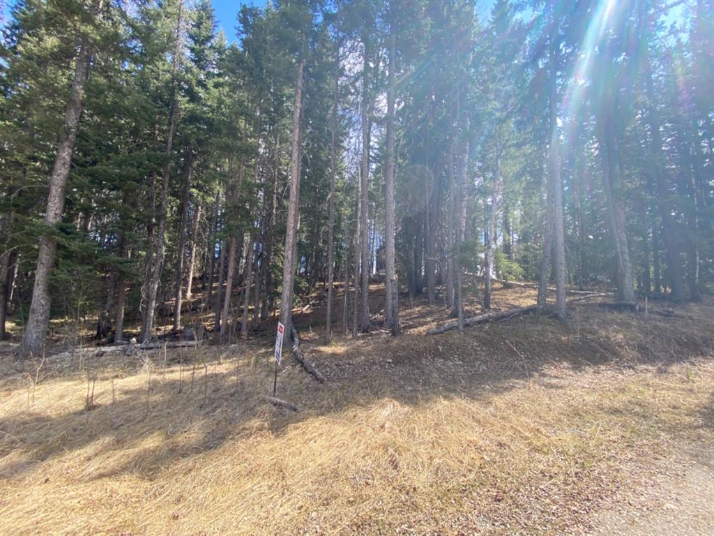 Picture of 176 Woodfrog Way , Rural Mountain View County Real Estate Listing