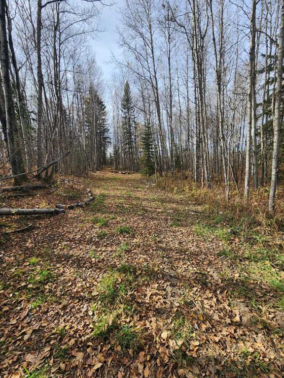 Picture of 195055 Township Road 665A  , Rural Athabasca County Real Estate Listing