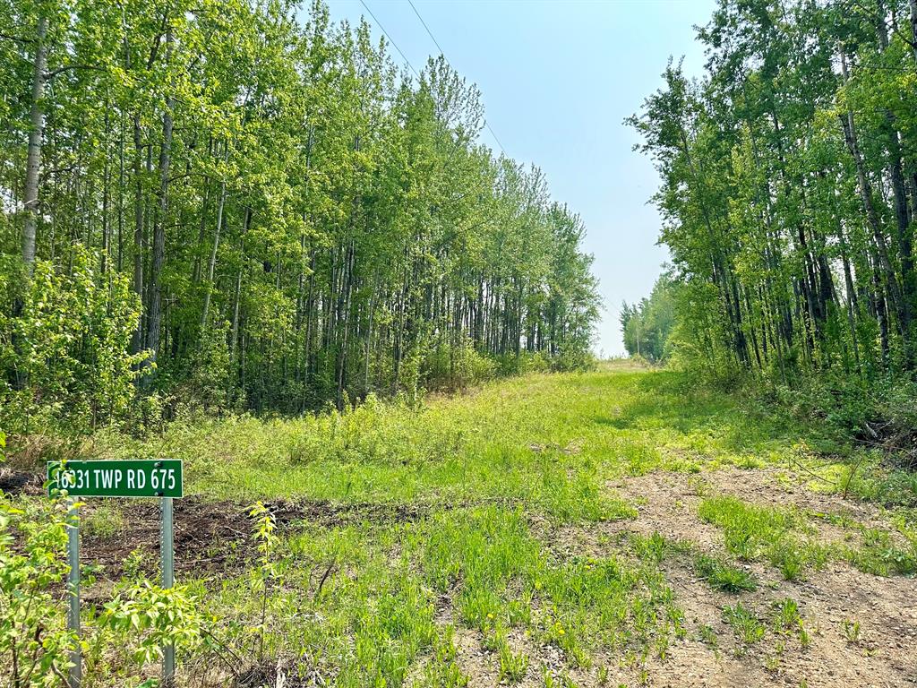 Picture of Lot 3, 16331 TWP RD 675  , Plamondon Real Estate Listing