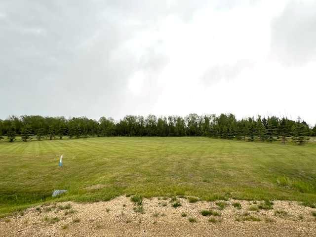 Picture of 5201 Westview Drive , Rimbey Real Estate Listing