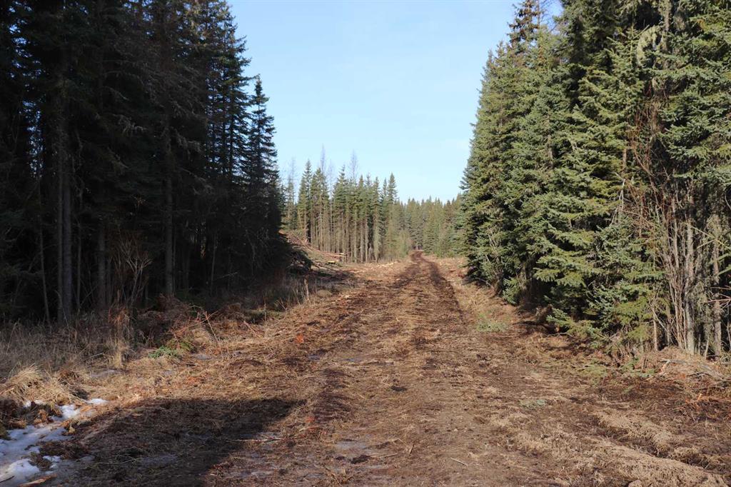 Picture of Highway 748 E  , Rural Yellowhead County Real Estate Listing