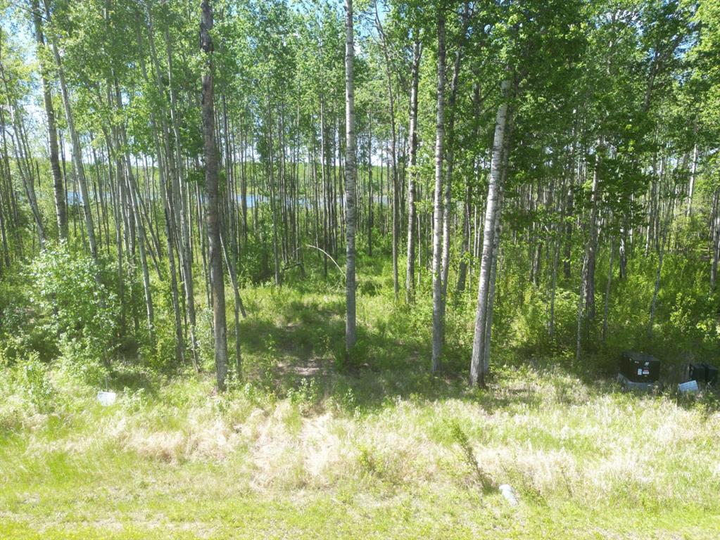 Picture of 7 Branch Lake  , Loon Lake Real Estate Listing