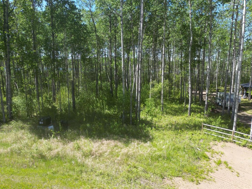 Picture of 8 Branch Lake  , Loon Lake Real Estate Listing