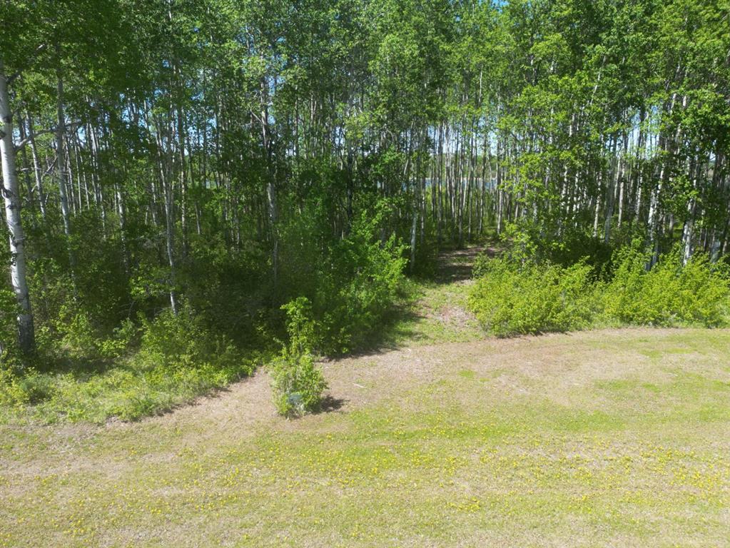 Picture of 15 Branch Lake  , Loon Lake Real Estate Listing