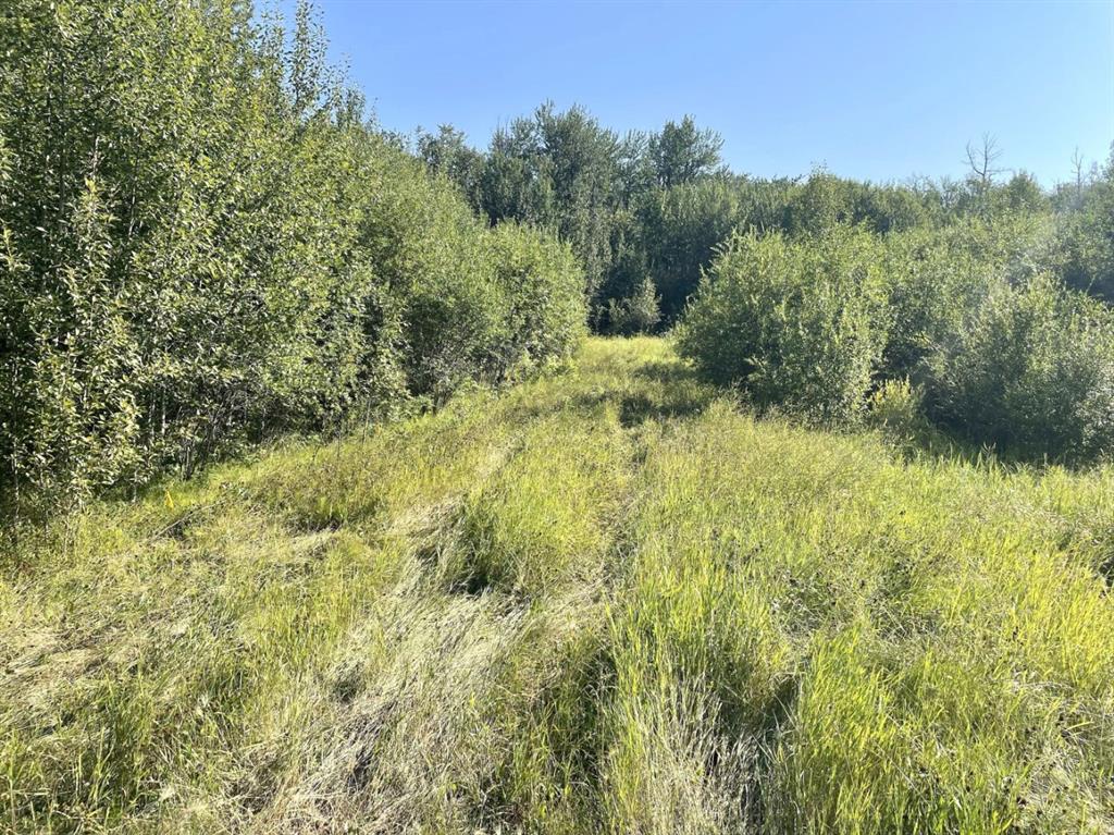 Picture of 2791 Stump Hollow Street , Wabasca Real Estate Listing