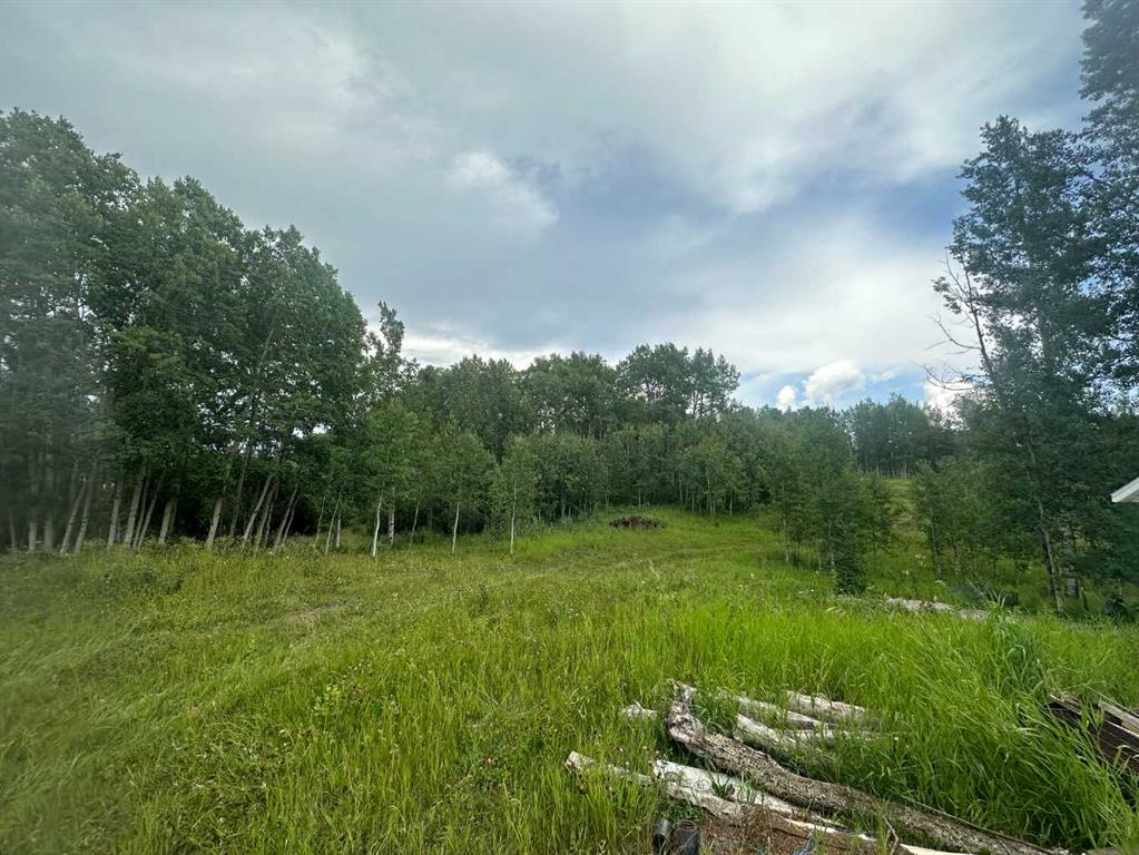 Picture of 33203 Range Road 63  , Rural Mountain View County Real Estate Listing