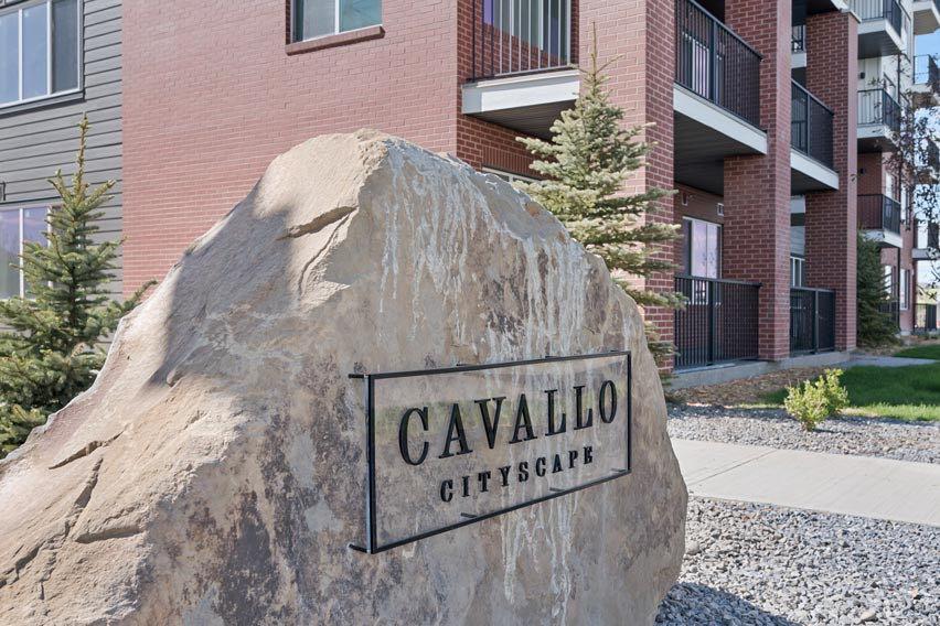 Picture of 1111, 395 Skyview Parkway NE, Calgary Real Estate Listing