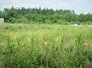 Picture of 2010 Prospect Drive , Wabasca Real Estate Listing