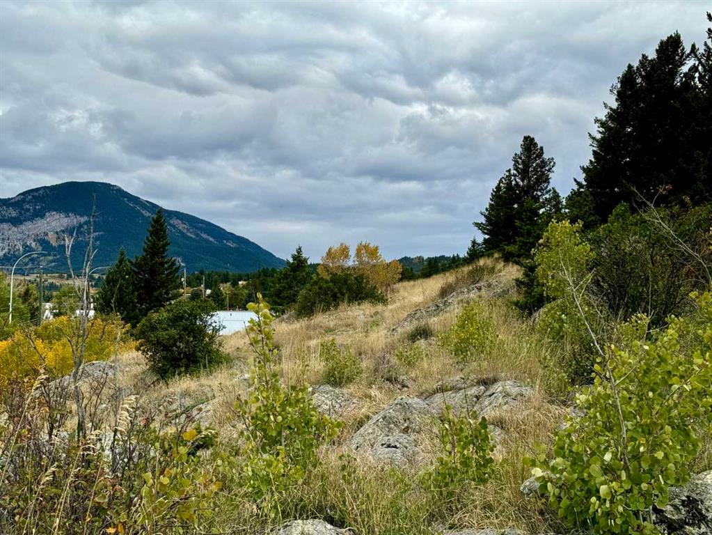 Picture of 21405 27 Avenue , Crowsnest Pass Real Estate Listing