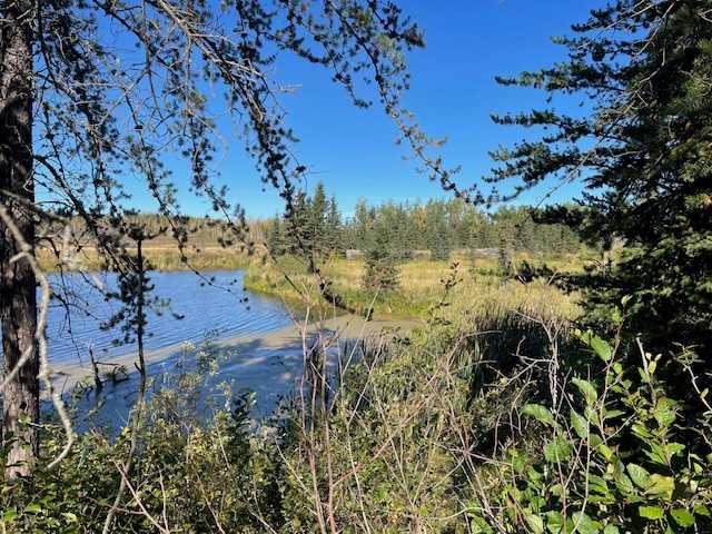 Picture of SE 9-64-22-W4  , Rural Athabasca County Real Estate Listing