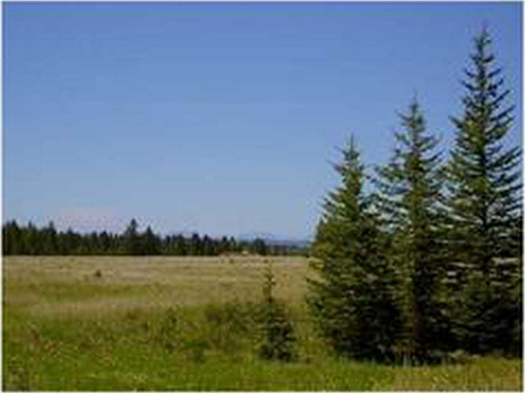 Picture of Range Road 55  , Rural Mountain View County Real Estate Listing