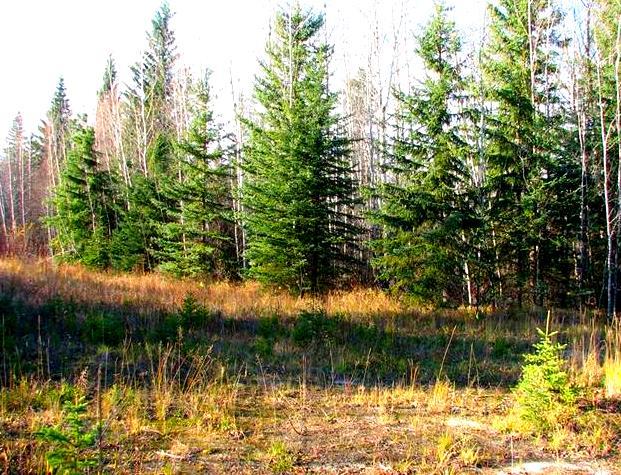 Picture of Lot 4 Old Mission Road  , Lac La Biche Real Estate Listing