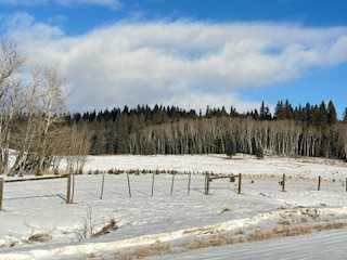 Picture of 290180 Parkins Road W, Millarville Real Estate Listing