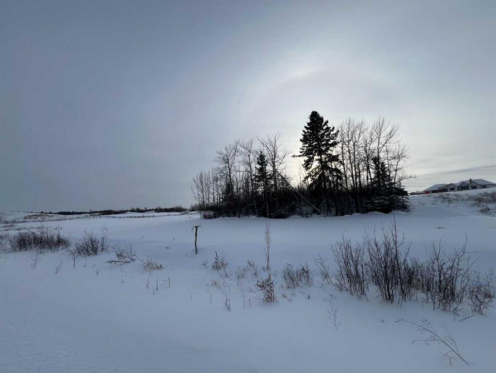 Picture of 313 Wolf Run Drive , Rural Ponoka County Real Estate Listing