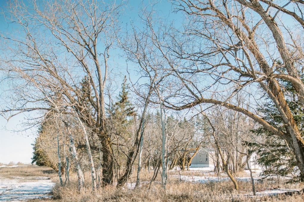 Picture of 41177 Range Road 18-1  , Rural Stettler No. 6, County of Real Estate Listing
