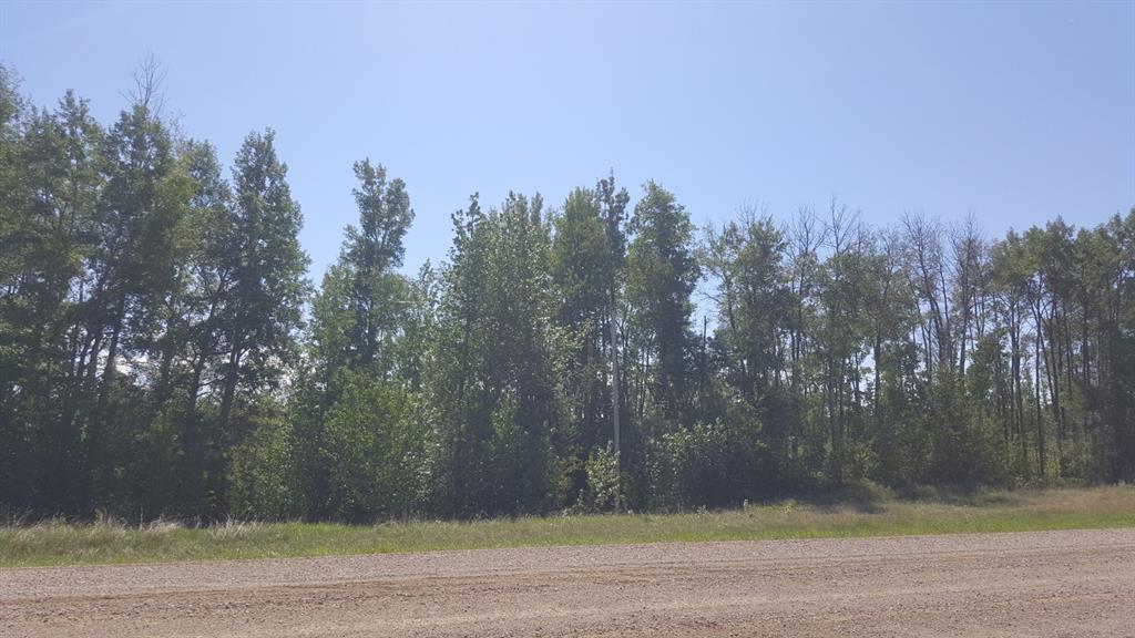 Picture of Weberville Road  , Rural Northern Lights, County of Real Estate Listing