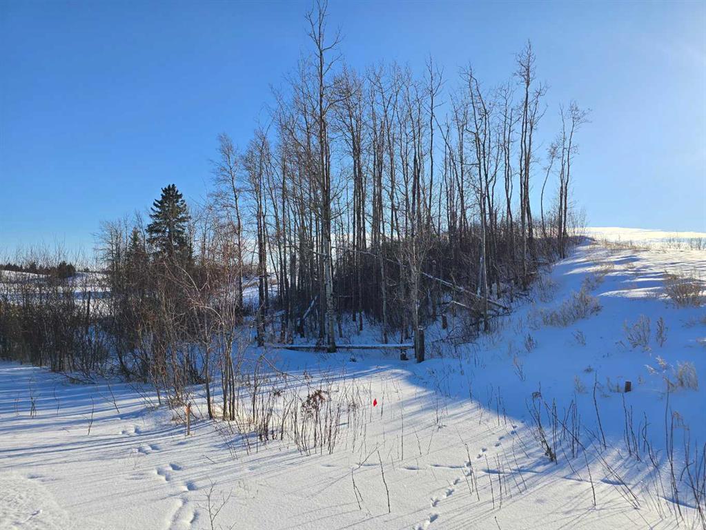 Picture of 309 Wolf Run Drive , Rural Ponoka County Real Estate Listing