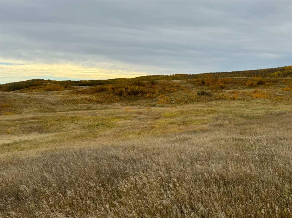 Picture of On Range Road 260  , Rural Red Deer County Real Estate Listing