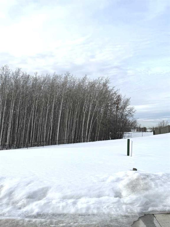 Picture of 8302 121 Street , Grande Prairie Real Estate Listing