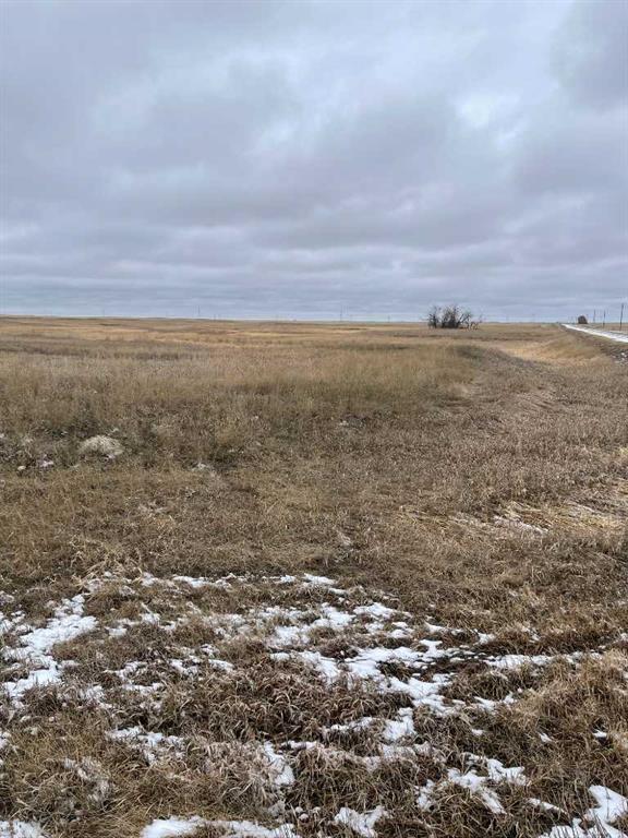 Picture of 174 Township , Rural Cypress County Real Estate Listing