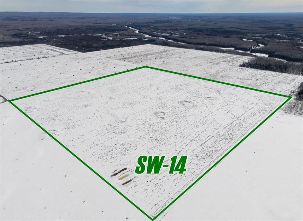 Picture of SW-14-101-17-W5  , Rural Mackenzie County Real Estate Listing