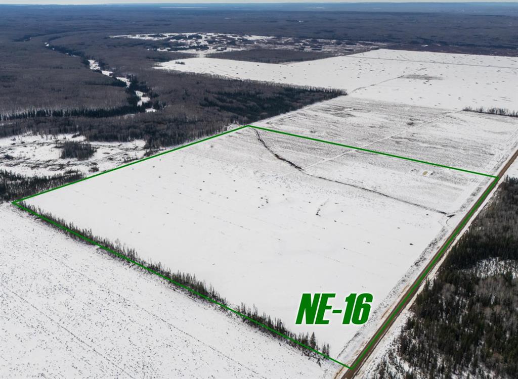 Picture of NE-16-101-17-W5  , Rural Mackenzie County Real Estate Listing