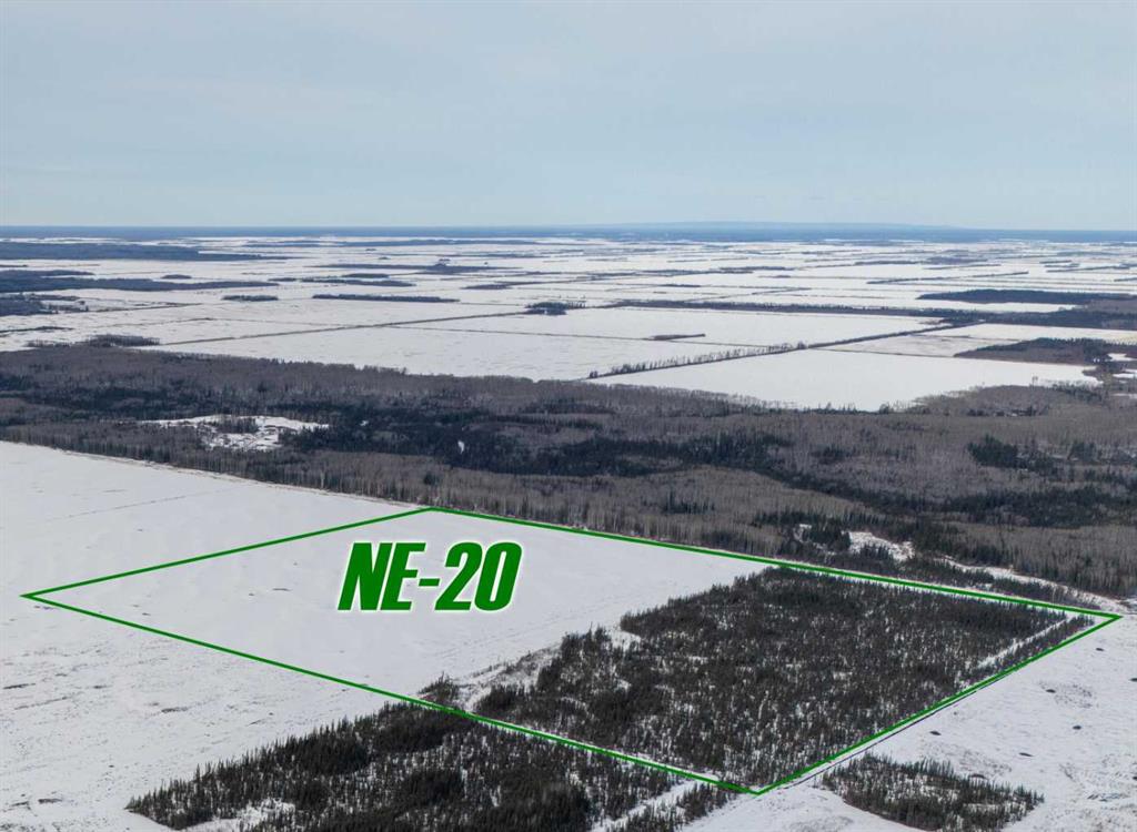 Picture of NE-20-101-17-W5  , Rural Mackenzie County Real Estate Listing