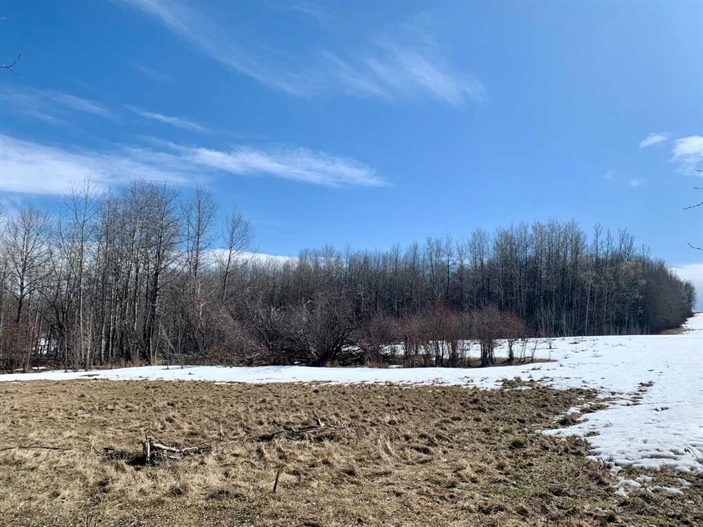 Picture of Township Road 505 & Range Road 75  , Rural Brazeau County Real Estate Listing